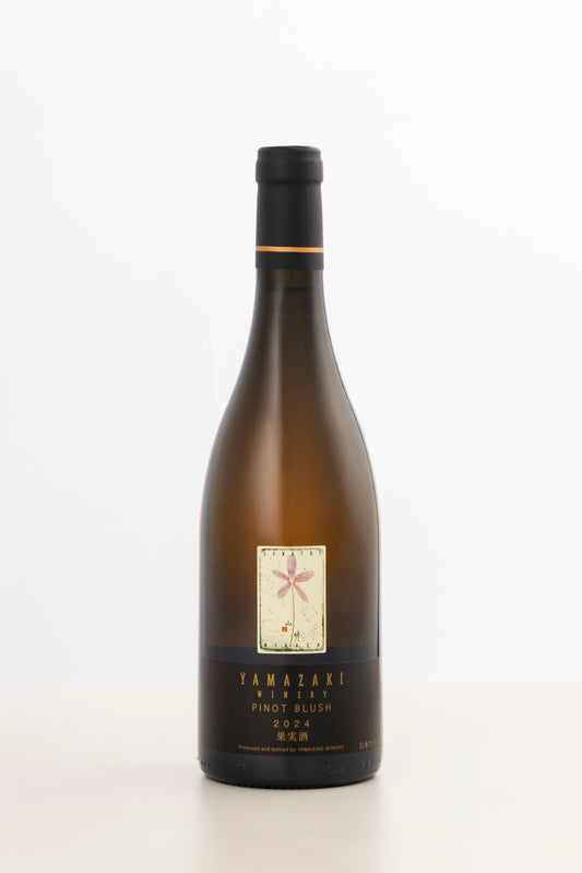 PINOT BLUSH 2024